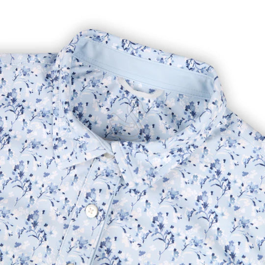 Swannies Ameeta Polo