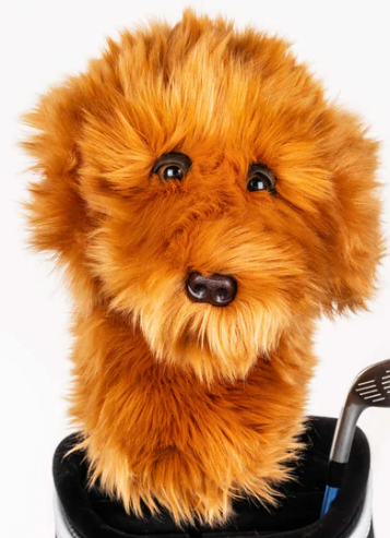 Daphne's Headcovers